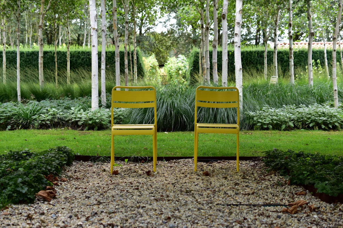 Professional Garden Planning and Design Services